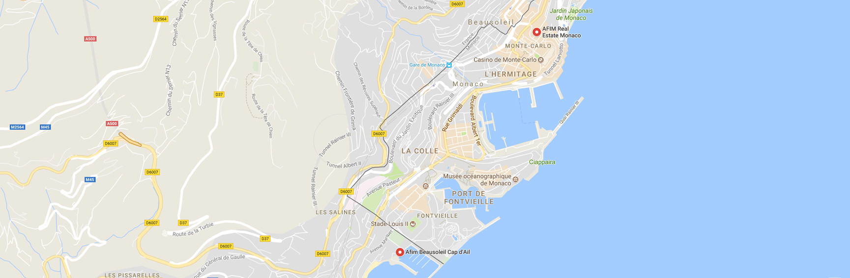 AFIM Monaco & AFIM France